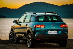 CitroenCactus_02
