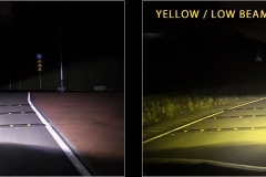 whiteyellow