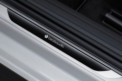 PoloMK6_11