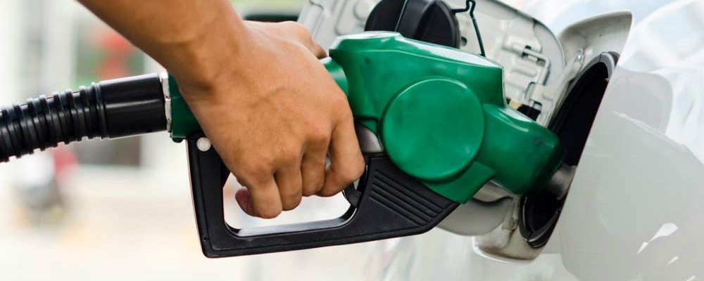gasolina